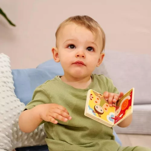 Eichhorn Fa képeskönyv