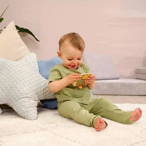 Eichhorn Fa képeskönyv