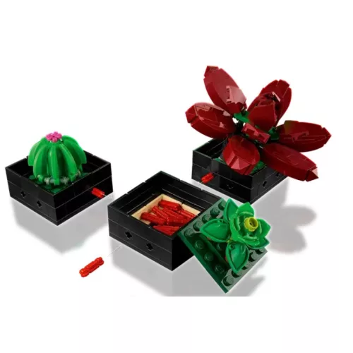 LEGO Botanicals 10309 Pozsgások