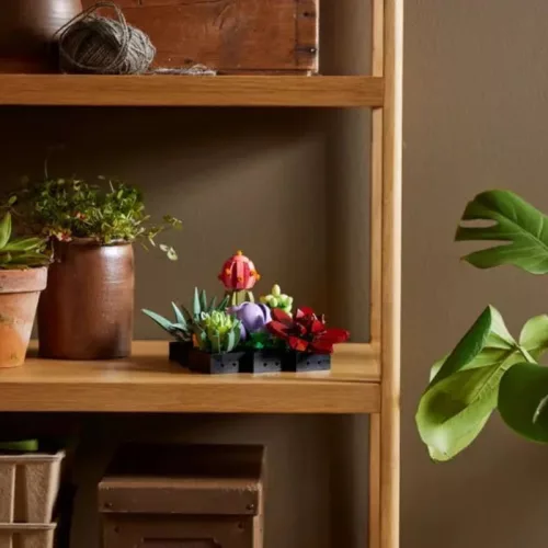 LEGO Botanicals 10309 Pozsgások