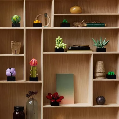 LEGO Botanicals 10309 Pozsgások