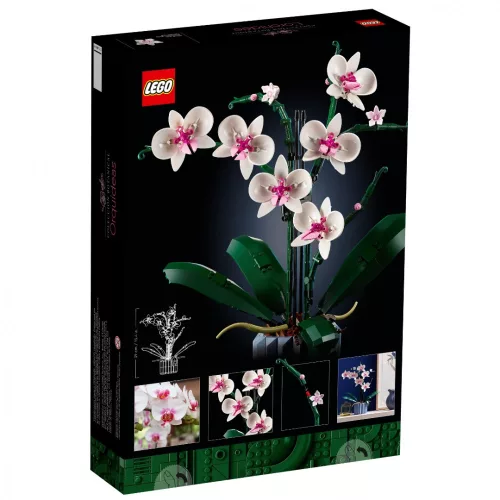LEGO Botanicals 10311 Orchidea
