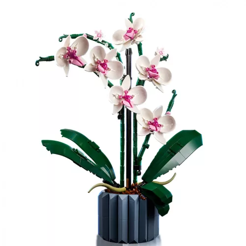 LEGO Botanicals 10311 Orchidea