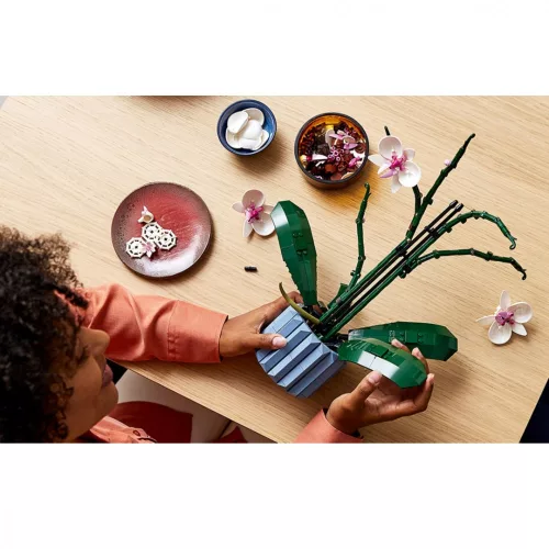 LEGO Botanicals 10311 Orchidea