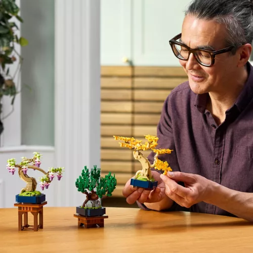 LEGO Botanicals 10373 Mini bonsai fák