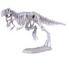 Dinoszaurusz csontváz ásatás - T-Rex dinó