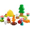 LEGO DUPLO Peppa Malac 10452 Kempingezős kirándulás