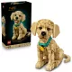 LEGO Icons 11384 Golden Retriever kutyus