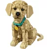 LEGO Icons 11384 Golden Retriever kutyus