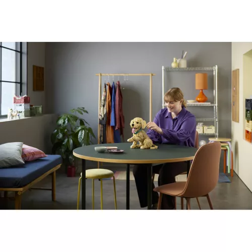 LEGO Icons 11384 Golden Retriever kutyus