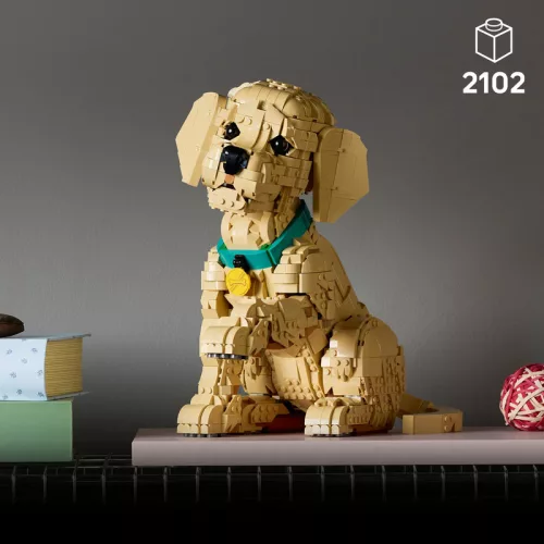 LEGO Icons 11384 Golden Retriever kutyus