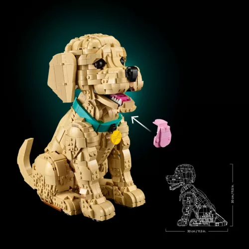LEGO Icons 11384 Golden Retriever kutyus