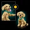 LEGO Icons 11384 Golden Retriever kutyus