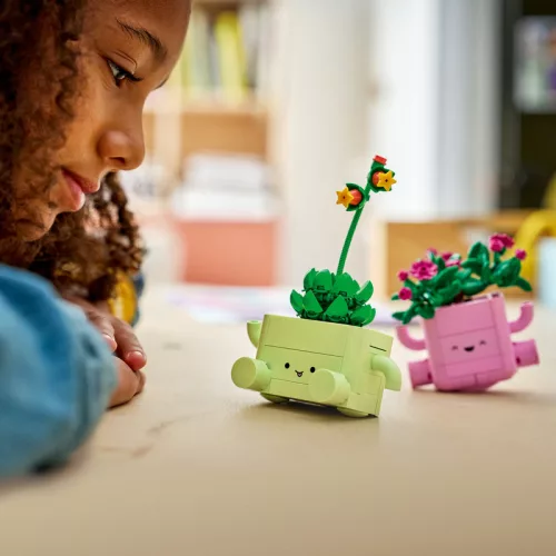 LEGO Botanicals 11506 Hintázó növények