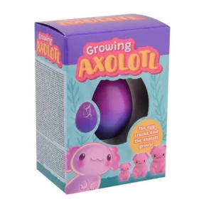 Növő axolotl lila tojás