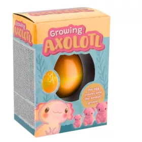 Növő axolotl sárga tojás