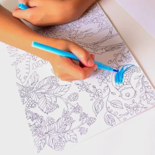 Magic Trace Kezdőszett – Állatkert színező fényhatással kreatív készlet