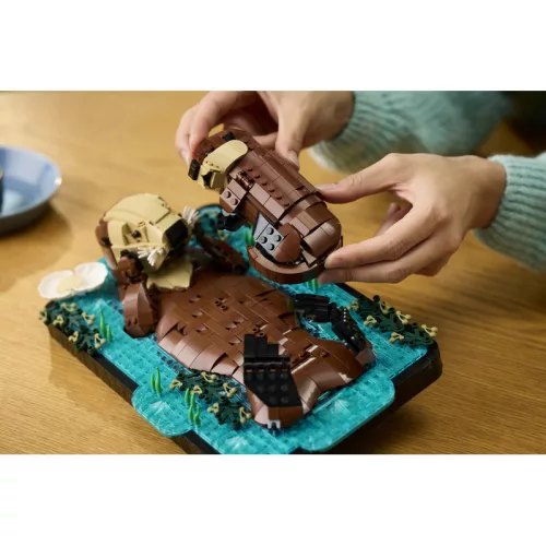 LEGO Ideas 21366 Úszkáló vidrák