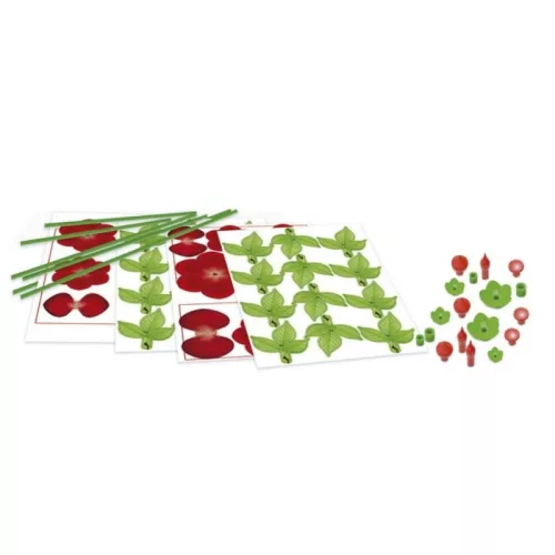 Educa Floral Art Virágművészet – Rózsacsokor kreatív készlet