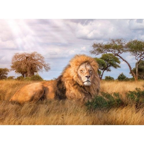 Clementoni High Quality Collection 39479 puzzle – A király (1000 db)