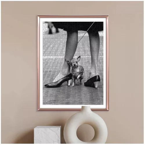 Clementoni Life Magazine Collection 39634 Chihuahua puzzle (1000 db)