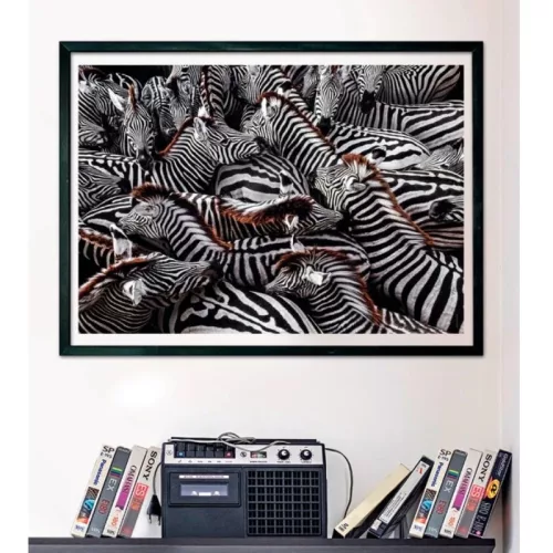 Clementoni National Geographic Collection 39729 Compact puzzle – Zebrák (1000 db)