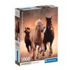 Clementoni 39771 High Quality Collection Compact puzzle - Vágtázó lovak (1000 db)