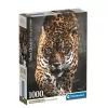 Clementoni High Quality Collection Compact 39947 A jaguár sétája puzzle (1000 db)