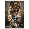 Clementoni High Quality Collection Compact 39947 A jaguár sétája puzzle (1000 db)
