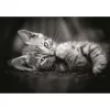 Clementoni High Quality Collection Compact 39950 Kitty puzzle (1000 db)