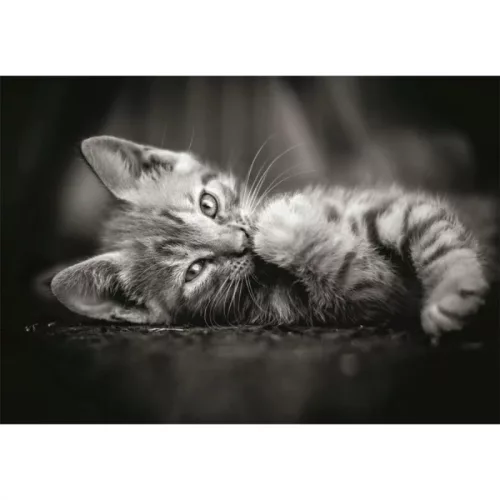 Clementoni High Quality Collection Compact 39950 Kitty puzzle (1000 db)
