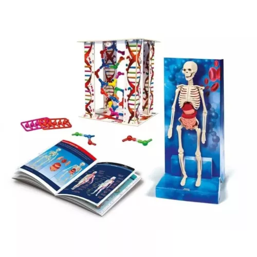 Clementoni Tudomány és játék 50227 – Varázslatos emberi test