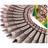 Crayola Sokszínű Világ - bőrszín árnyalatú zsírkréta készlet (24 db)