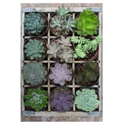 Ravensburger 12967 Puzzle Moment – Zöld (300 db)