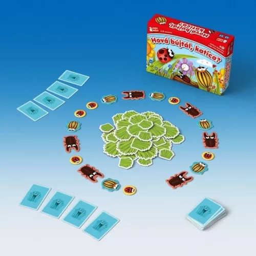 Hová bujtál, katica? társasjáték