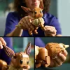 LEGO Pokémon 72151 Eevee építőkocka szett – 587 db