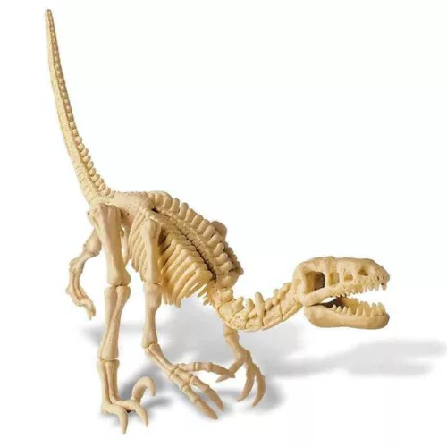 4M KidzLabs Dinosaur régész készlet - Velociraptor