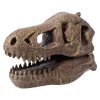 BUKI Dinó felfedező készlet - Tyrannosaurus koponya