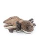 Barna Axolotl plüss figura (26 cm)