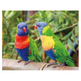 3D mágnes lóri papagájok (9x7 cm)