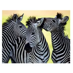 3D hűtőmágnes zebrák – 9 x 7 cm