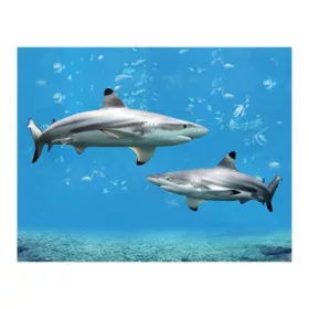 3D Cápák hűtőmágnes