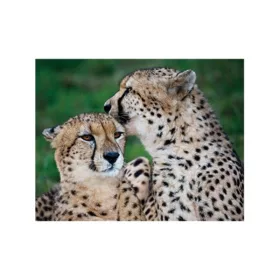 3D Gepárd hűtőmágnes