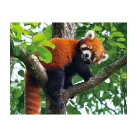 3D vörös panda hűtőmágnes – 9 x 7 cm