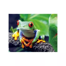 3D Béka hűtőmágnes