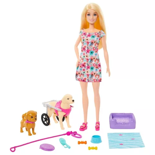 Barbie Gondoskodás játékszett – Kerekesszékes kutyussal