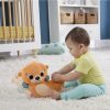 Fisher-Price Sensimals Foglalkoztató vidrapajti