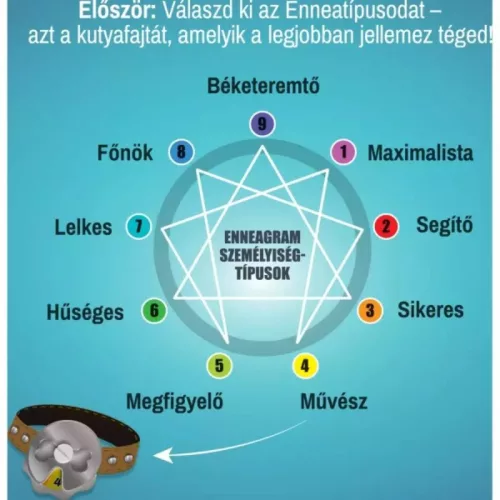 It's a Dog's Life – kommunikációs partijáték