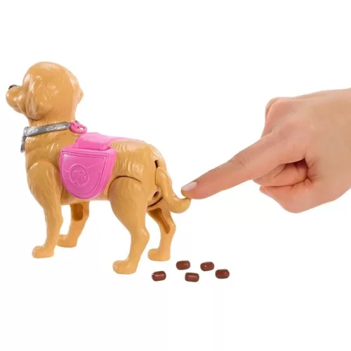 Barbie Family & Friends - Gondos Gazdi játékszett Malibu Barbie babával