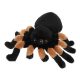 Keeleco Tarantula plüss figura (15 cm)